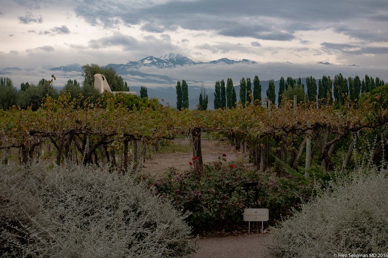 20160405_094310 RX100M3.jpg - View of the Andes from winery